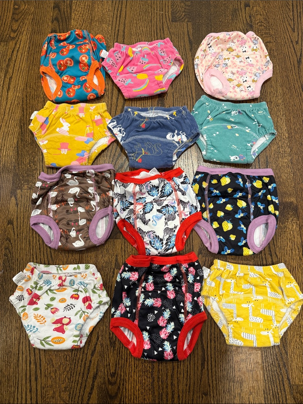 12 Pairs Padded Potty Training Underwear 3T